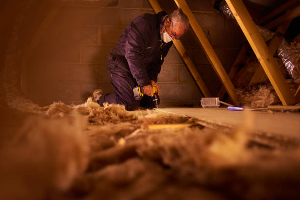 Best Cellulose Insulation in Vauxhall, NJ